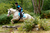 DSC02008-2