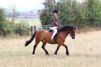 LAR_8193