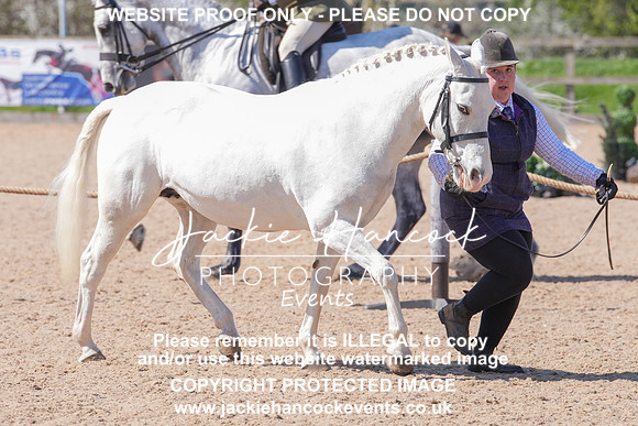 DSC00832 (2)-2