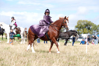 Class 64 - Concours