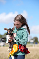 Class 72 - Young Handler