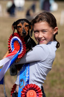 Dog Show Championship