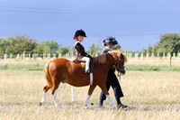LAR_0665