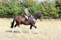 LAR_0668
