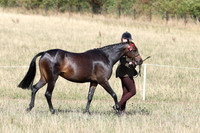 LAR_0672