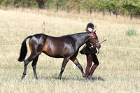 LAR_0673