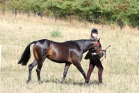 LAR_0674