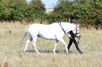 LAR_0676