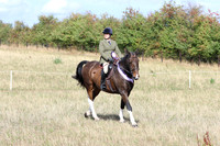 LAR_0678