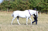 LAR_0677