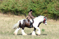 LAR_0600