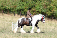 LAR_0601