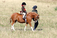 LAR_0607