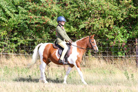 LAR_0611