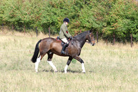LAR_0614