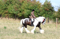LAR_0617