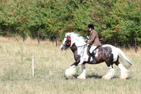 31.08.25 HDRC End of Season Show, Pengethley, Ross-on-Wye