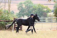 LAR_9541