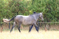 LAR_9542