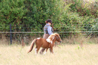 LAR_9545