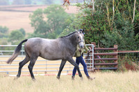 LAR_9549