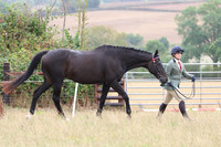 LAR_9551