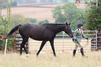 LAR_9552