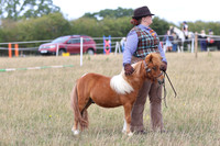 LAR_9564