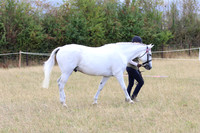 LAR_003