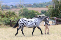 LAR_009