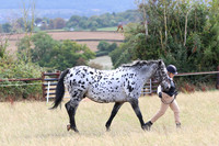 LAR_011