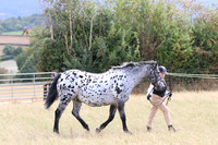 LAR_012