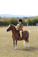 LAR_9453