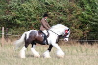 RIDDEN SHOWING