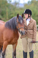 LAR_9953-2