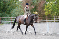Classes 10, 11, 12, 13 and 19 - Ridden