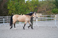 DSC04718