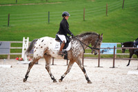 18.10.25 HDRC Dressage, Aberhall Equestrian