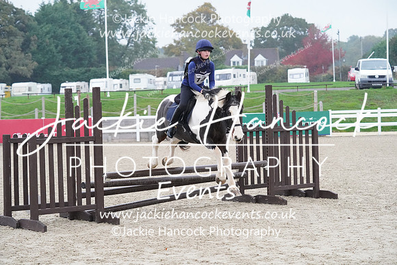 MCP04394