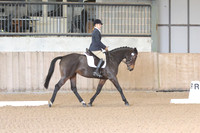 26.10.25 British Dressage, Bromyard Equestrian
