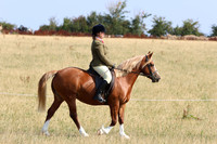 LAR_7107