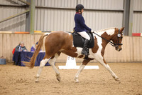 09.11.25 SSRC Dressage to Music Championships 2024, Bromyard Equestrian