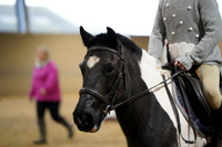SN_00015