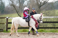 Class 16 - Prettiest Mare