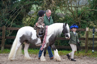 Class 15 - Most Handsome Gelding
