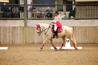 28.12.25 BRC SSRC Christmas Dressage incl.Prix Caprilli, Bromyard Equestrian
