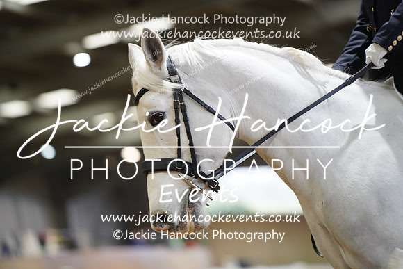 SN_01035