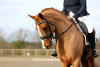 EJV_0280