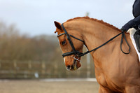 EJV_0298