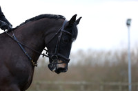 EJV_1741